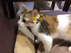 -看书吧(体育东横路店)
