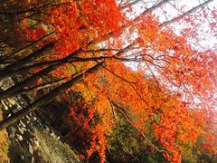 -九鼎铁刹山风景区