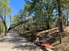 -承德避暑山庄景区