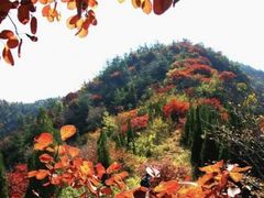 -青州仰天山