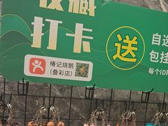 -椿记烧鹅(叠彩店)