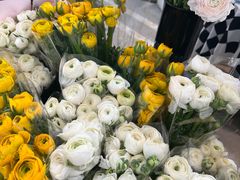 -三圣花乡旅游区