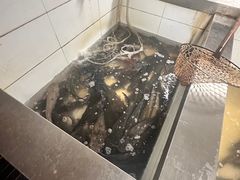 -都江堰石锅鱼