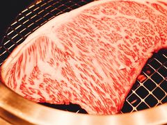-俺的焼肉(銀座9丁目店)