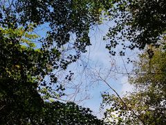 -藏龙百瀑风景区