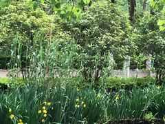 -合肥滨湖国家森林公园