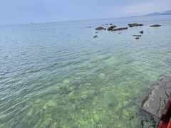 -养马岛旅游度假区