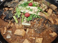 -老板恋上鱼(恒隆广场店)