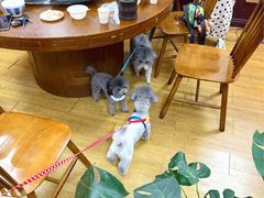 -观桥阁(锦溪店)