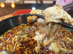 -烧哥美蛙肥肠鱼火锅·十五年社区店