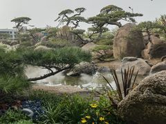 -罗红摄影艺术馆