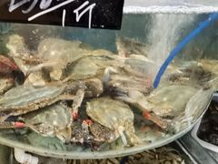 -鑫渔港海鲜本地菜·山海关浑锅(东戴河店)