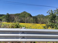 -燕北云山·农家菜·灶台鱼(密云溪翁庄店)