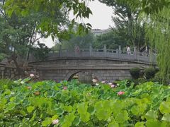 -莲湖公园