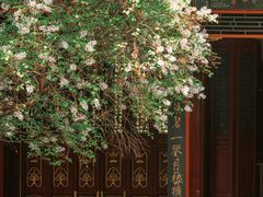 -承德避暑山庄景区