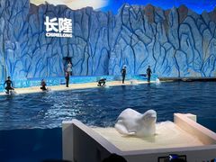 -珠海长隆海洋王国