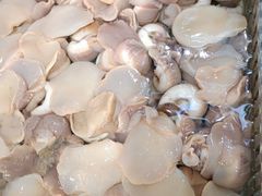 -山海经·海边人家 海鲜新青岛菜(扬州路店)