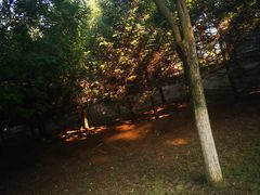 -金石唐风国际温泉会馆