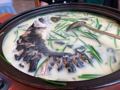 -饭怕鱼(阳光100店)