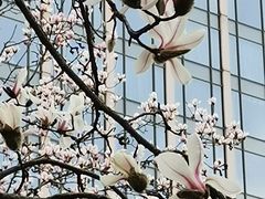 -黄兴公园
