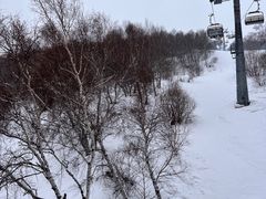 -密苑云顶乐园(云顶滑雪场)