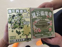 -库伦旗银沙湾旅游景区