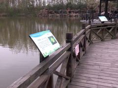 -合肥滨湖国家森林公园