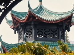 -桂湖森林公园