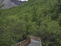 -稻城亚丁景区-冲古草甸