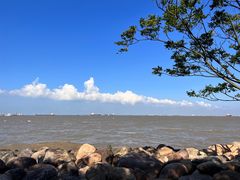 -上海吴淞炮台湾国家湿地公园