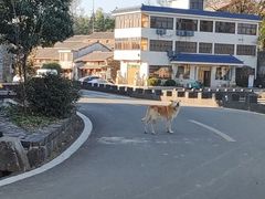 -乌石村