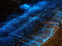 -西涌国际滨海旅游区