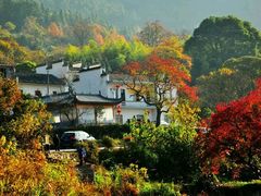 -塔川景区