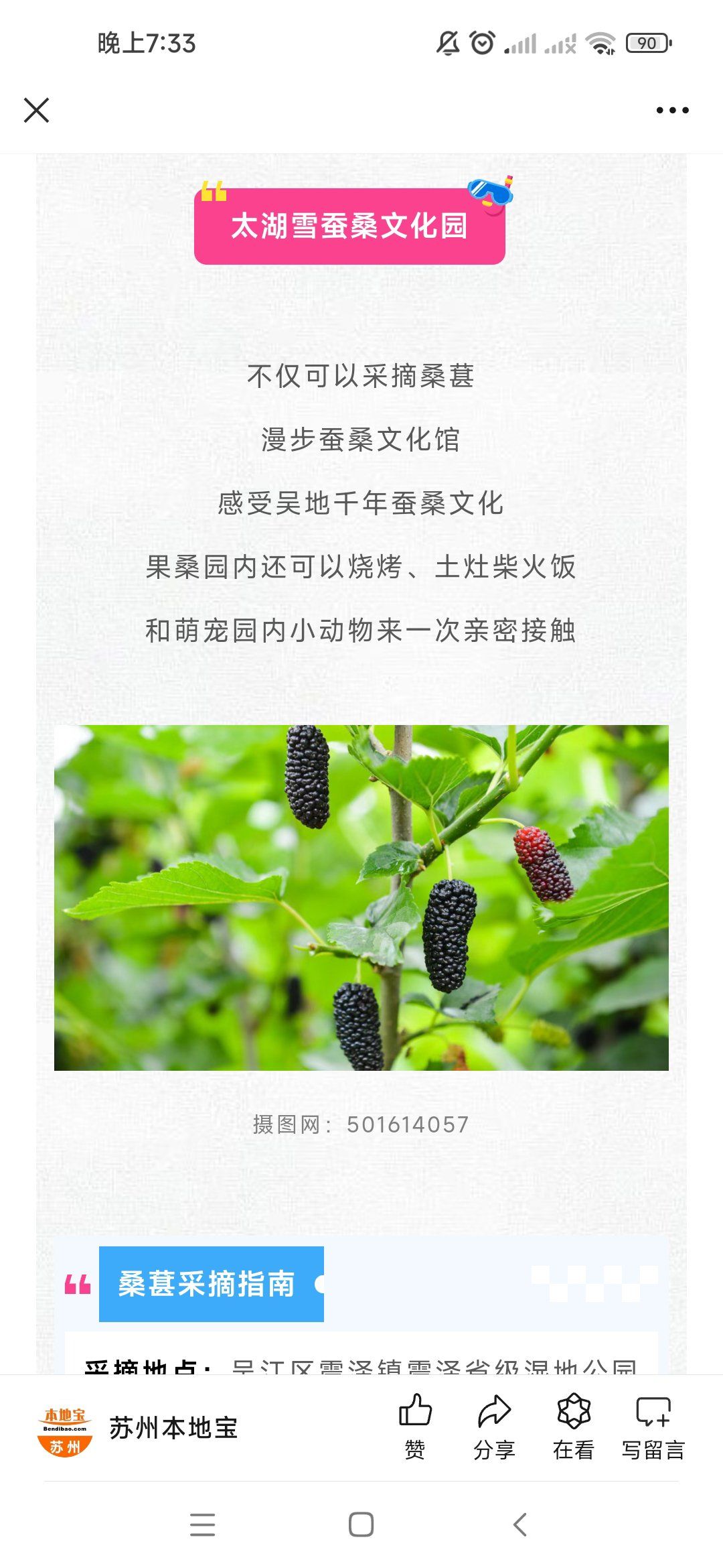 城市尝鲜计划 #我的旅行采摘日记 #采摘攻略 可以采摘桑葚,还可以