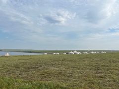 -呼和诺尔旅游景区