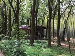 -同里国家湿地公园