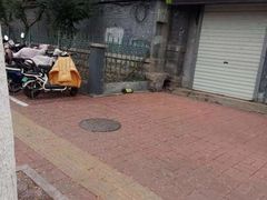 -老西关黄老太牛肉烧饼
