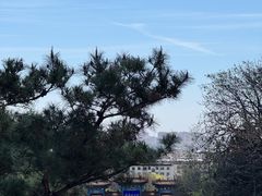 -府君山公园