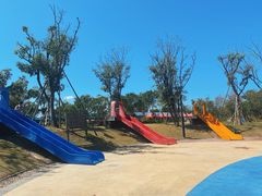 -春花秋色城市公园