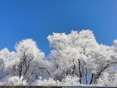 -雾凇岛