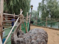 -羊亭河湿地公园