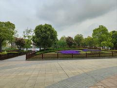 -复旦大学附属眼耳鼻喉科医院(浦江院区)