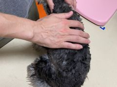 -深圳野生动物园宠物医院(西湖林语店)