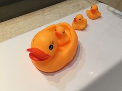 -碧桂园凤凰城酒店(南京店)