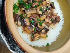 -红星光发煲仔饭(文海店)