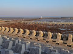 -南汇嘴观海公园