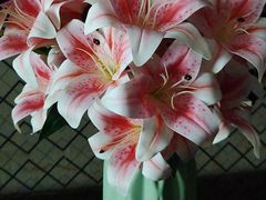 -洛阳宴·洛阳菜(南昌路店)