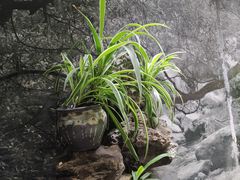 -南堂馆·新川菜(天府三街店)