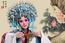 -胭脂猫京剧摄影