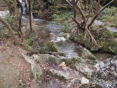 -贵阳市花溪国家城市湿地公园